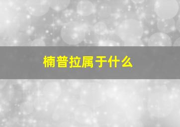 楠普拉属于什么