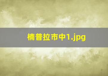 楠普拉市中