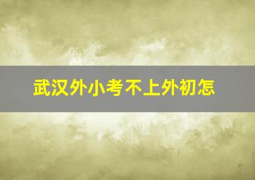 武汉外小考不上外初怎