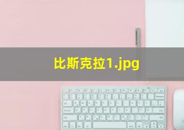 比斯克拉