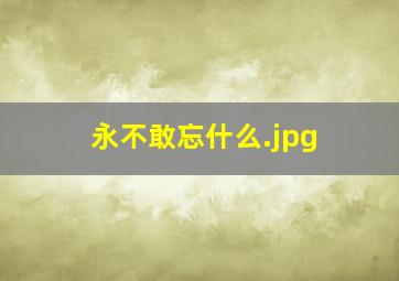 永不敢忘什么