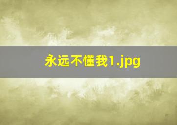 永远不懂我