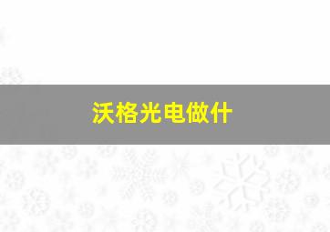 沃格光电做什