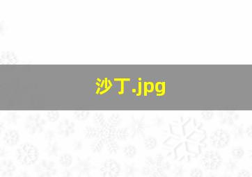 沙丁