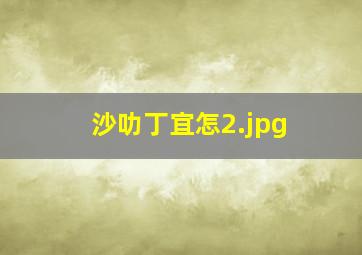 沙叻丁宜怎
