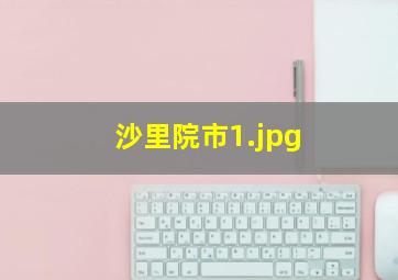沙里院市