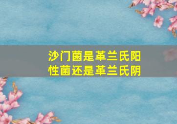 沙门菌是革兰氏阳性菌还是革兰氏阴
