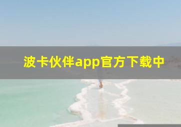 波卡伙伴app官方下载中