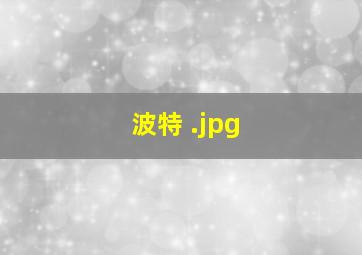 波特 
