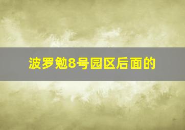 波罗勉8号园区后面的