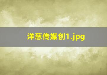 洋葱传媒创