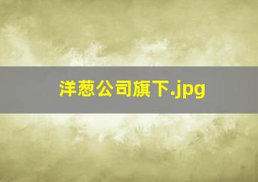 洋葱公司旗下
