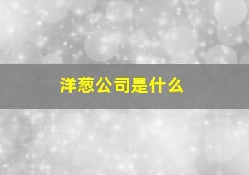 洋葱公司是什么