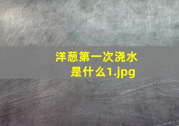 洋葱第一次浇水是什么