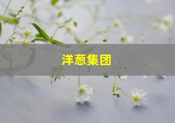洋葱集团