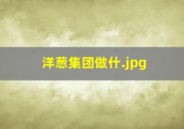洋葱集团做什
