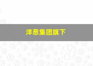 洋葱集团旗下