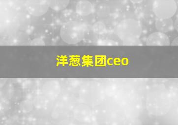 洋葱集团ceo