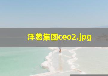 洋葱集团ceo