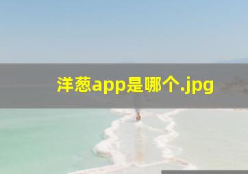洋葱app是哪个