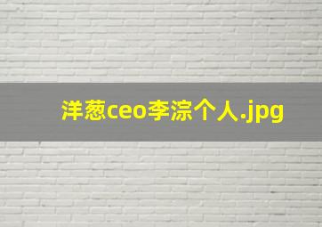 洋葱ceo李淙个人