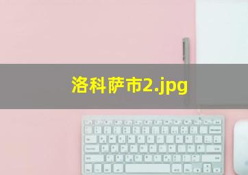 洛科萨市
