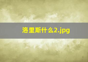 洛里斯什么