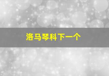 洛马琴科下一个