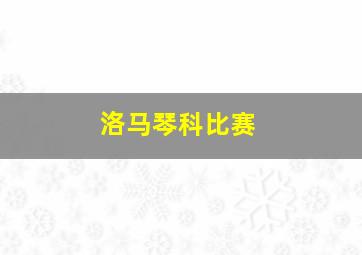 洛马琴科比赛