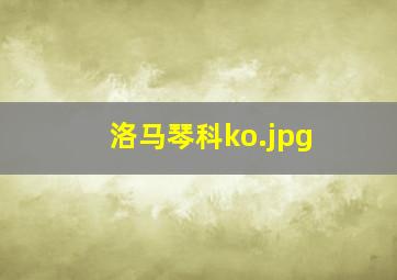 洛马琴科ko