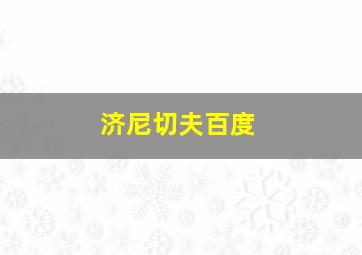 济尼切夫百度