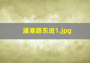 浦港路东进