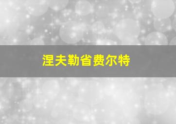 涅夫勒省费尔特