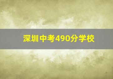 深圳中考490分学校
