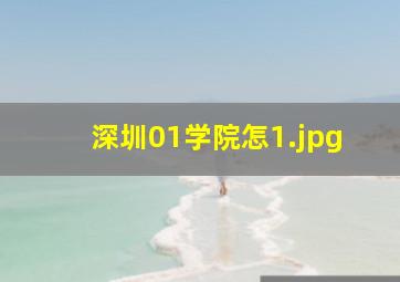 深圳01学院怎
