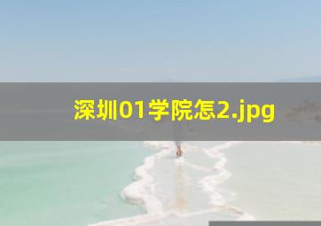 深圳01学院怎