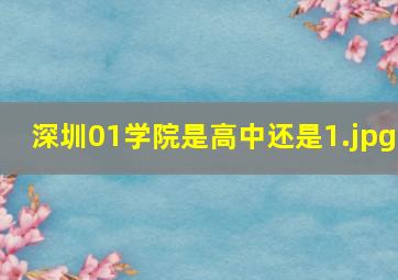 深圳01学院是高中还是