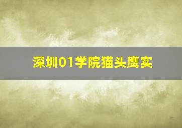 深圳01学院猫头鹰实