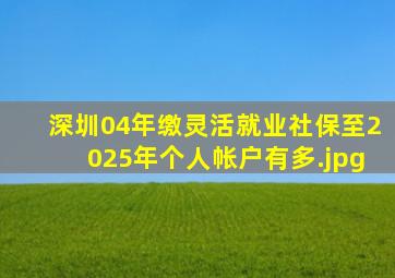 深圳04年缴灵活就业社保至2025年个人帐户有多