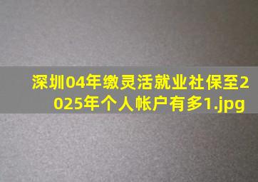 深圳04年缴灵活就业社保至2025年个人帐户有多