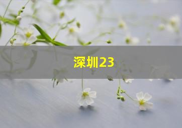 深圳23