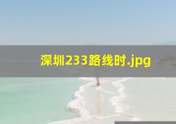 深圳233路线时
