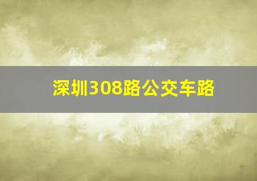 深圳308路公交车路