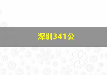 深圳341公