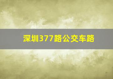 深圳377路公交车路