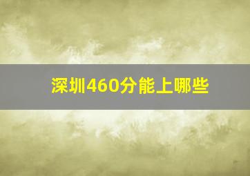 深圳460分能上哪些