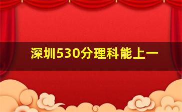 深圳530分理科能上一