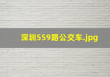 深圳559路公交车