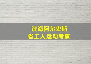 滨海阿尔卑斯省工人运动考察