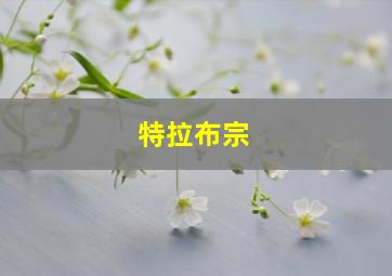 特拉布宗
